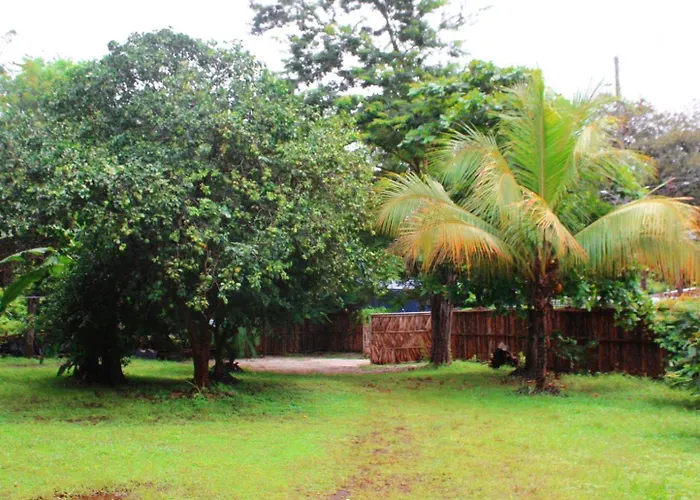 Tyler's Place * Coco